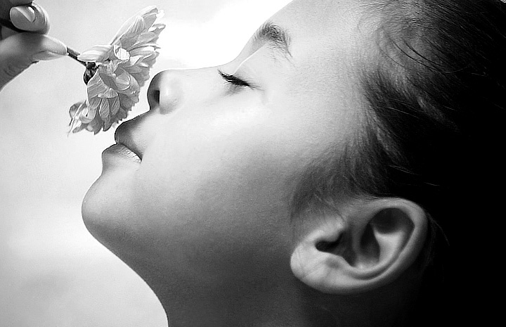 在线DDOS平台攻击